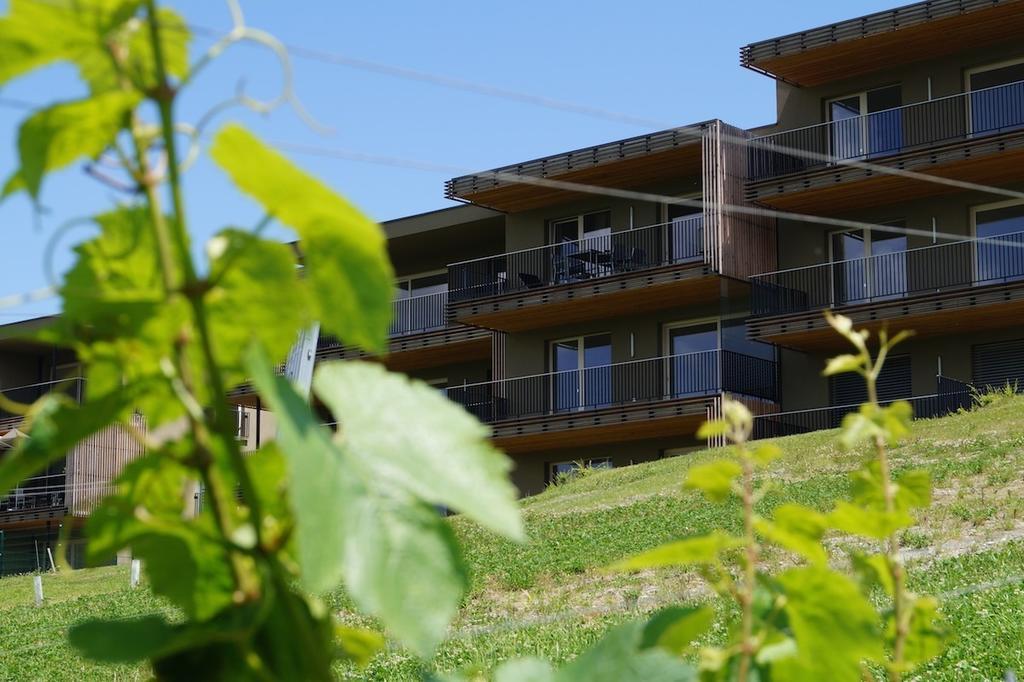 Relax Residence Suedsteiermark 에렌하우센 객실 사진